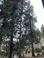 大宮温泉神社(栃木県)