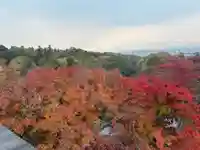 清水寺(京都府)