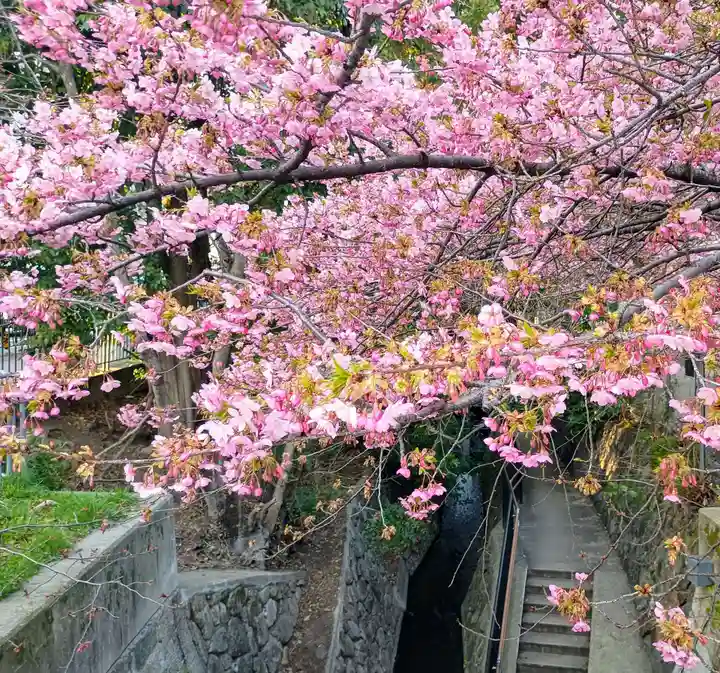 晴明神社(京都府)