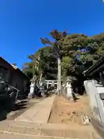 大日神社(千葉県)