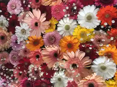 札幌諏訪神社の手水舎