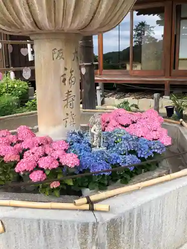 三室戸寺(京都府)