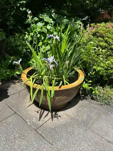 阿佐ヶ谷神明宮(東京都)