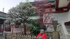 日枝神社の建物その他