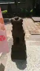 高輪神社の狛犬