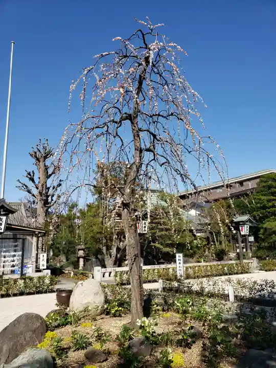 常性寺(東京都)