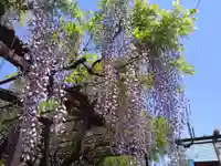 徳王稲荷社・金刀比羅社(愛知県)