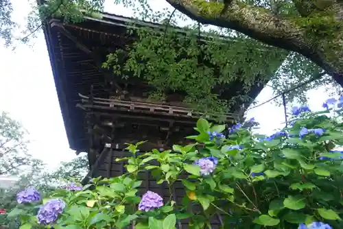 楽法寺（雨引観音）のその他建物