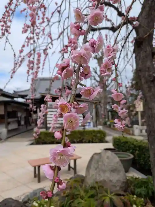 常性寺(東京都)
