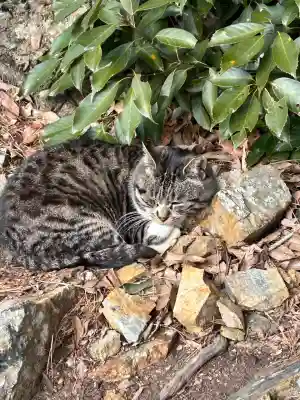 唐澤山神社(栃木県)