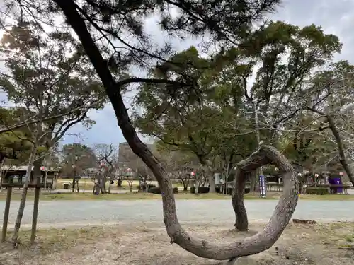 三柱神社の自然
