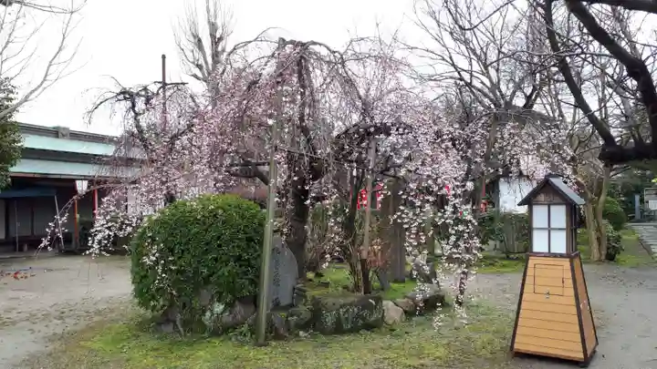 長建寺(京都府)
