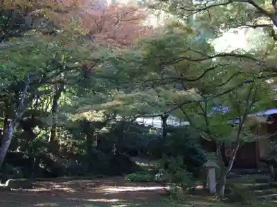 神上寺(山口県)