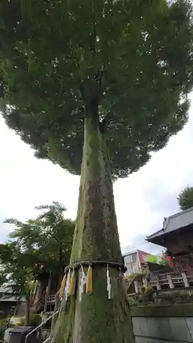 瀧宮神社の自然