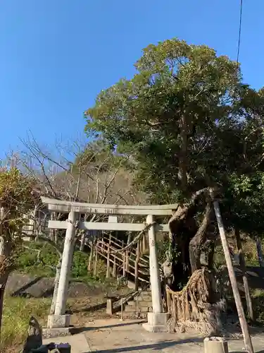 浅間神社の鳥居