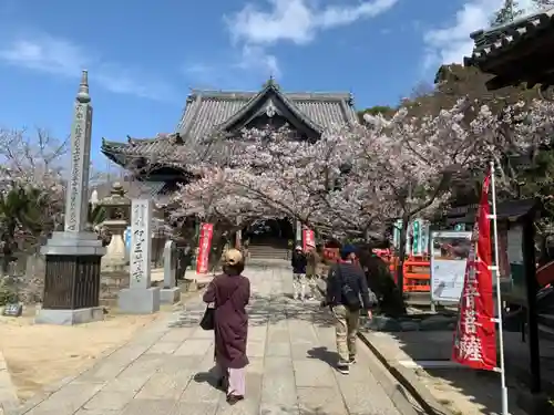 金剛宝寺（紀三井寺）の本殿・本堂
