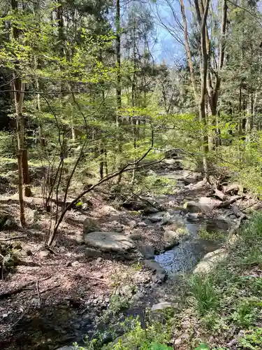 真福寺(埼玉県)