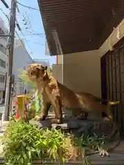 少彦名神社の狛犬