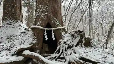 戸隠神社九頭龍社(長野県)