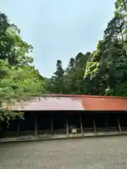 安房神社(千葉県)