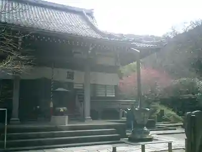 安國論寺（安国論寺）の本殿・本堂
