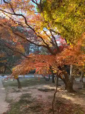 曹源寺(岡山県)