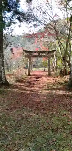 鍬山神社の鳥居