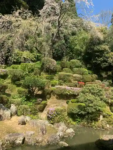 医光寺の庭園