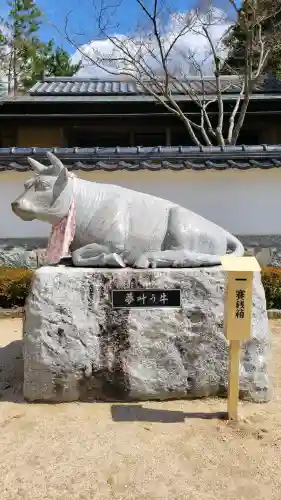 防府天満宮の{uncategorized: "未分類", other: "その他", undefined: "問題あり", building: "その他建物", grave: "お墓", sacred_gate: "鳥居", guardian: "狛犬", statue: "像", buddha: "仏像", history: "歴史", nature: "自然", garden: "庭園", animal: "動物", pagoda: "塔", temizu: "手水舎", mountain_gate: "山門・神門", sanctuary: "本殿・本堂", subordinate: "末社・摂社", art: "芸術", scenery: "景色", jizo: "地蔵", ema: "絵馬", goshuin: "御朱印", omikuji: "おみくじ", items: "授与品その他", amulet: "お守り", goshuincho: "御朱印帳", eats: "食事", festival: "お祭り", votive_dance: "神楽", shichigosan: "七五三参", wedding: "結婚式", experience: "体験その他", initially: "初詣", around: "周辺", anti_infection: "感染症対策"}