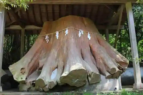 宇奈岐日女神社の自然