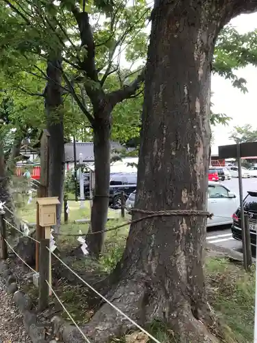 生島足島神社の自然