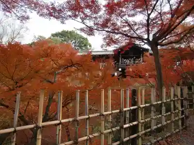 東福禅寺(東福寺)(京都府)