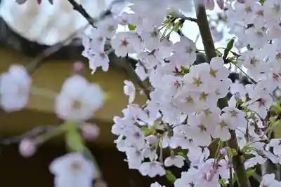 白山媛神社(新潟県)