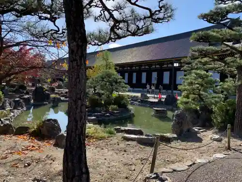 蓮華王院（三十三間堂）の庭園