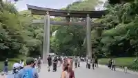 明治神宮(東京都)