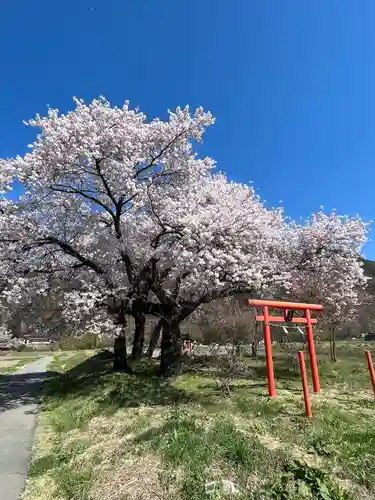 天神宮(伝河原氏屋敷跡)の自然