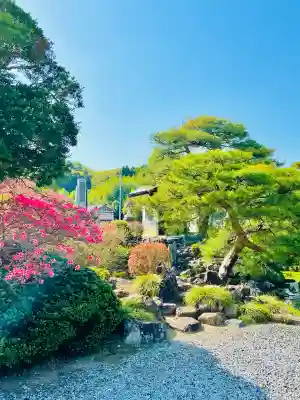 金蔵院（観音寺）の{uncategorized: "未分類", other: "その他", undefined: "問題あり", building: "その他建物", grave: "お墓", sacred_gate: "鳥居", guardian: "狛犬", statue: "像", buddha: "仏像", history: "歴史", nature: "自然", garden: "庭園", animal: "動物", pagoda: "塔", temizu: "手水舎", mountain_gate: "山門・神門", sanctuary: "本殿・本堂", subordinate: "末社・摂社", art: "芸術", scenery: "景色", jizo: "地蔵", ema: "絵馬", goshuin: "御朱印", omikuji: "おみくじ", items: "授与品その他", amulet: "お守り", goshuincho: "御朱印帳", eats: "食事", festival: "お祭り", votive_dance: "神楽", shichigosan: "七五三参", wedding: "結婚式", experience: "体験その他", initially: "初詣", around: "周辺", anti_infection: "感染症対策"}