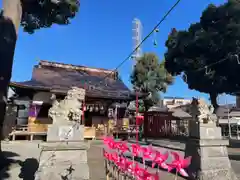 相模原氷川神社の狛犬