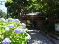 報国寺の山門・神門