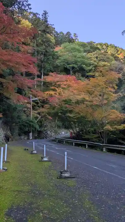 善峯寺(京都府)