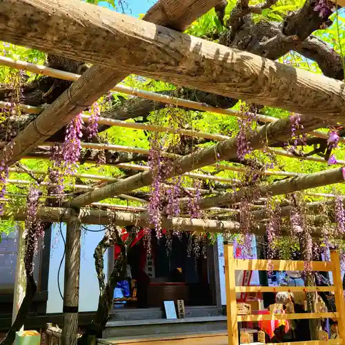 行興寺(静岡県)