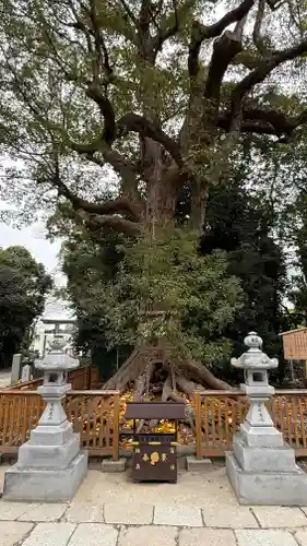 和泉國一之宮　大鳥大社(大阪府)