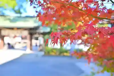 葛飾八幡宮(千葉県)