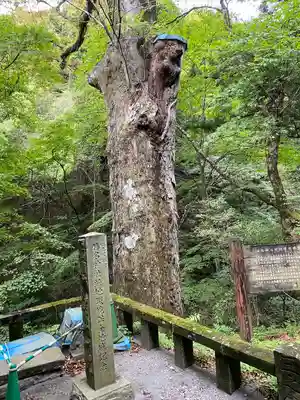 榛名神社(群馬県)
