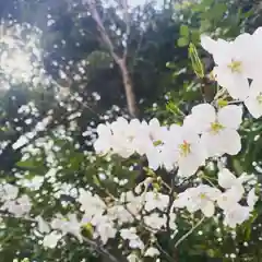 早稲田神社の自然