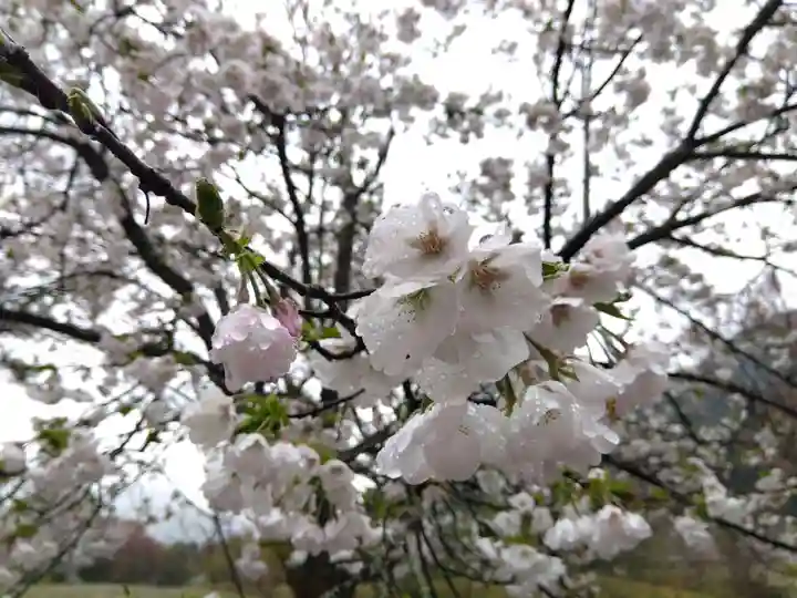高善寺(福井県)