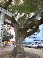 諏訪神社(福岡県)