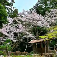 尊永寺の自然