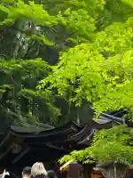 貴船神社(京都府)