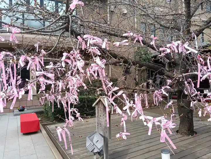 桜神宮の{uncategorized: "未分類", other: "その他", undefined: "問題あり", building: "その他建物", grave: "お墓", sacred_gate: "鳥居", guardian: "狛犬", statue: "像", buddha: "仏像", history: "歴史", nature: "自然", garden: "庭園", animal: "動物", pagoda: "塔", temizu: "手水舎", mountain_gate: "山門・神門", sanctuary: "本殿・本堂", subordinate: "末社・摂社", art: "芸術", scenery: "景色", jizo: "地蔵", ema: "絵馬", goshuin: "御朱印", omikuji: "おみくじ", items: "授与品その他", amulet: "お守り", goshuincho: "御朱印帳", eats: "食事", festival: "お祭り", votive_dance: "神楽", shichigosan: "七五三参", wedding: "結婚式", experience: "体験その他", initially: "初詣", around: "周辺", anti_infection: "感染症対策"}